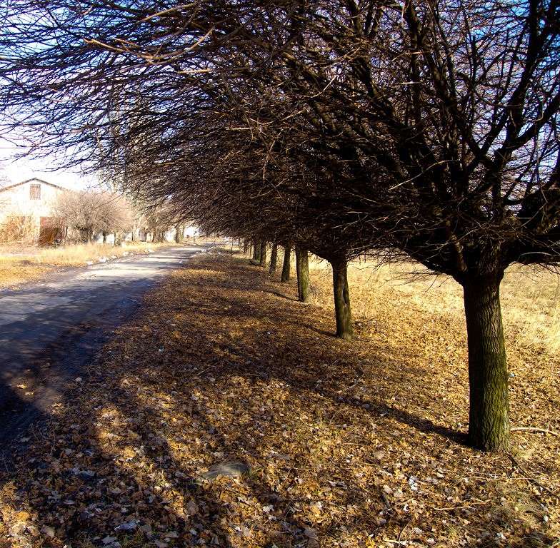 ... ����� ������� ������� �� PhotoGeek.ru #����� #������ ��� ������� #����� ��������������