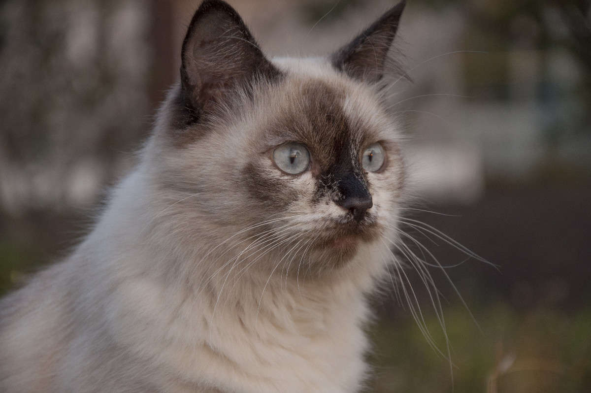 ���� ����� ����� �������� �� PhotoGeek.ru #�������� ���