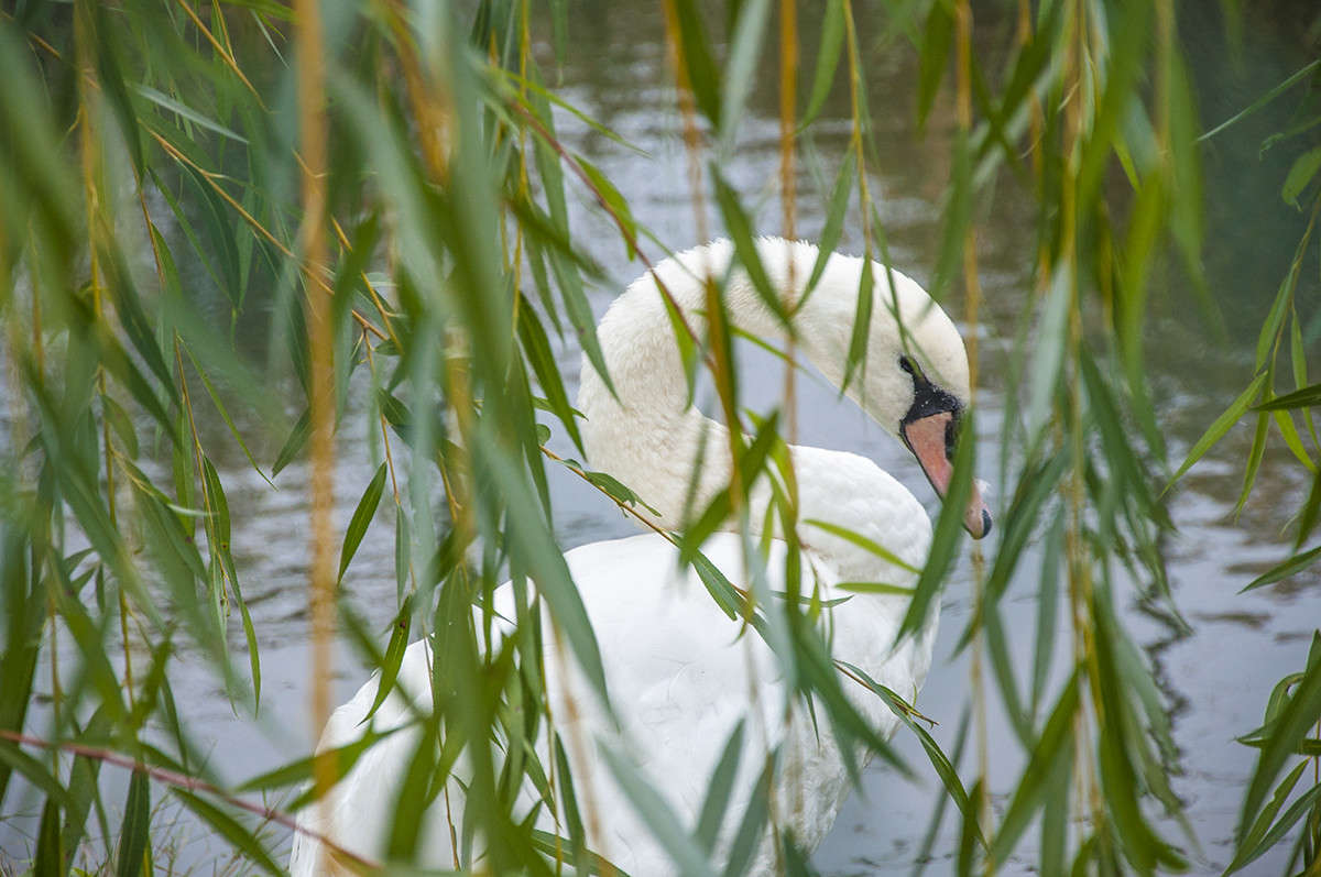 ���������� ����� ����� �������� �� PhotoGeek.ru #�������� ���