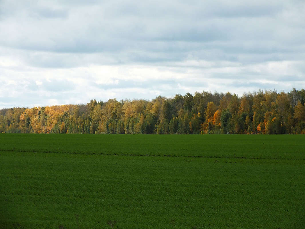 ����� ����� ����� �������� �� PhotoGeek.ru #������ ��� �������