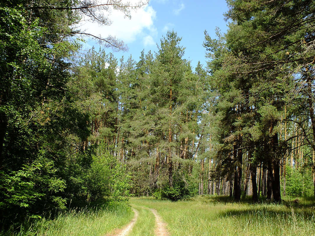 ������� ��� ����� ����� �������� �� PhotoGeek.ru #������ ��� �������