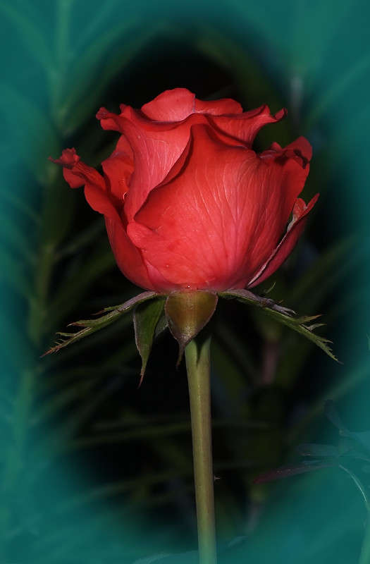 ������ ���� ����� ����� �������� �� PhotoGeek.ru #�����