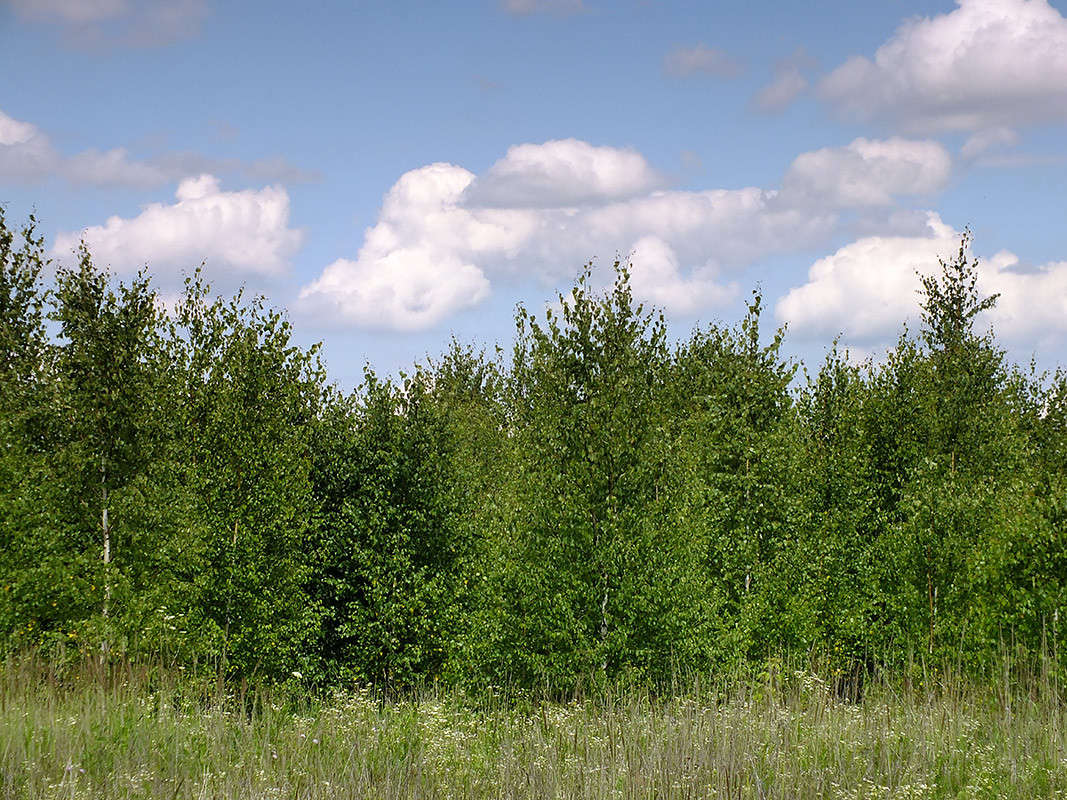 ��������.. ����� ����� �������� �� PhotoGeek.ru #������ ��� �������