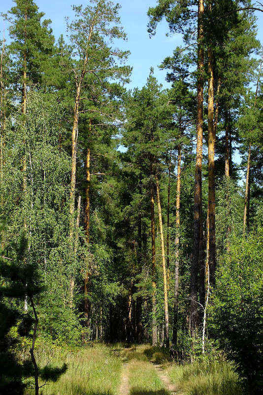 ���� ����� ����� �������� �� PhotoGeek.ru #������ ��� �������