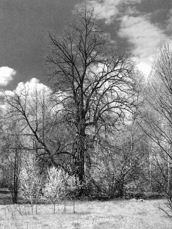 ���� �������.. ����� ����� �������� �� PhotoGeek.ru #������ ��� �������