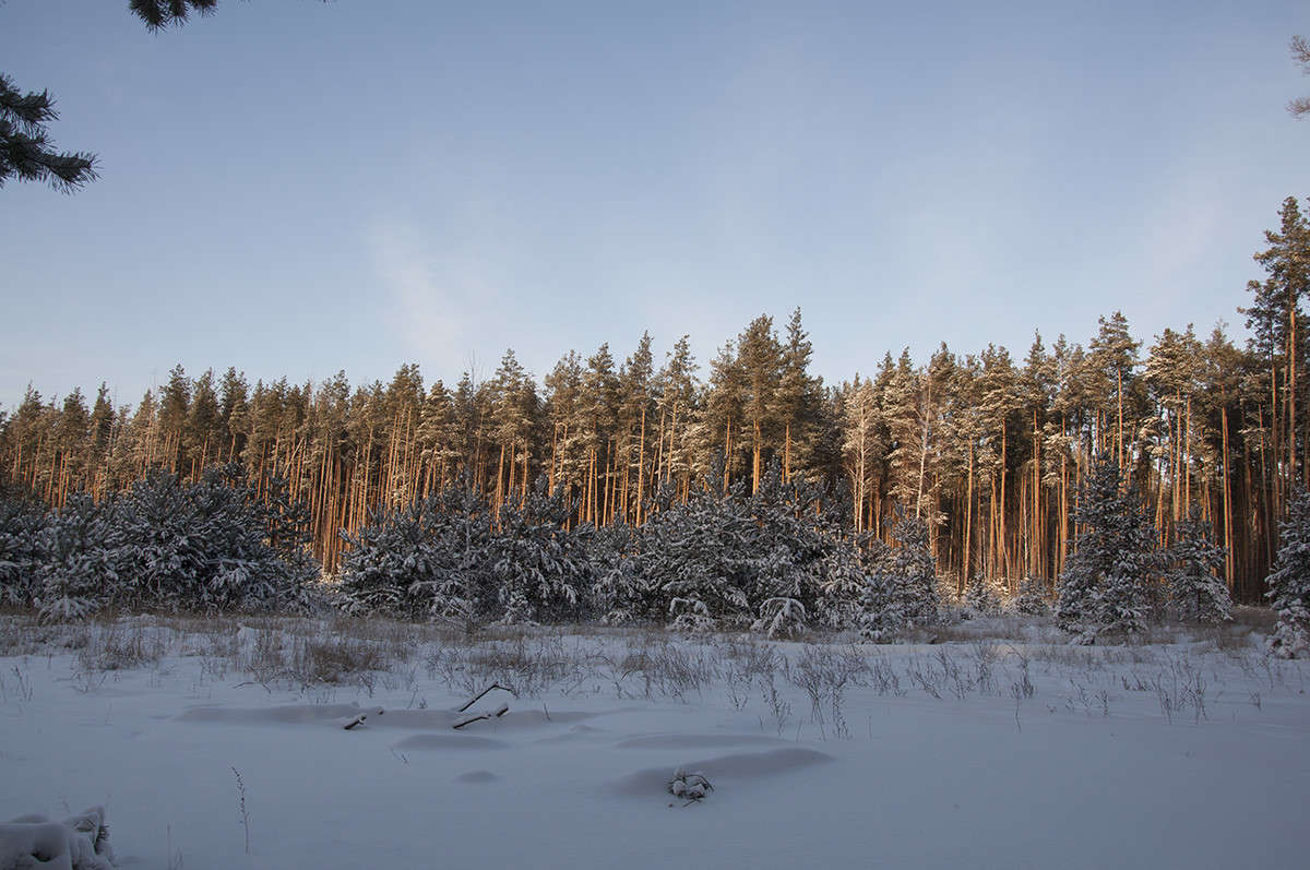 ������ ��� ����� ����� �������� �� PhotoGeek.ru #������ ��� �������