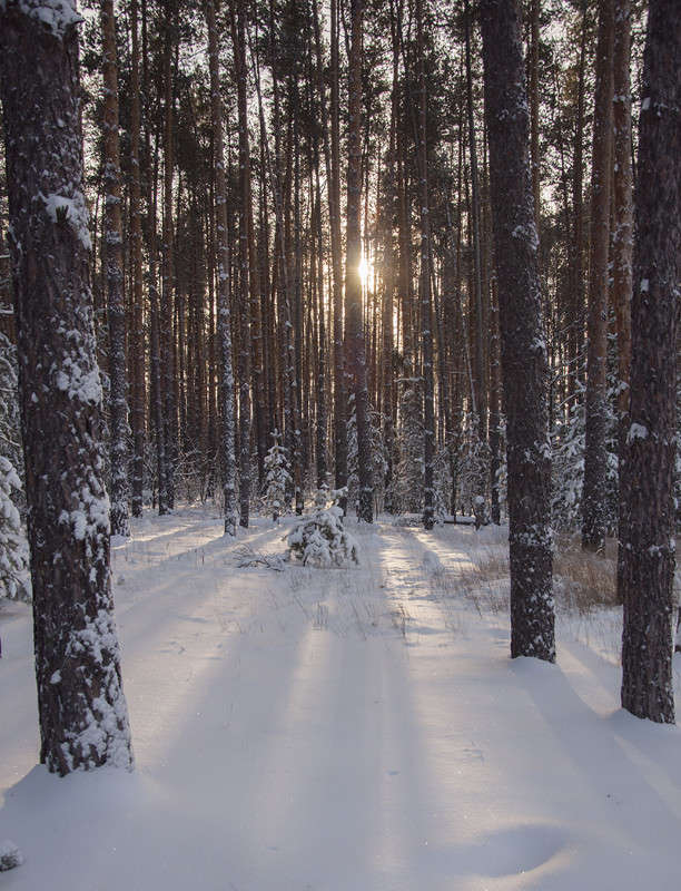 *** ����� ����� �������� �� PhotoGeek.ru #������ ��� �������