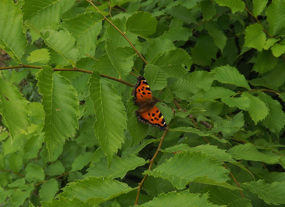 ���� � ��������)) ����� ����� �������� �� PhotoGeek.ru #������ ��� �������