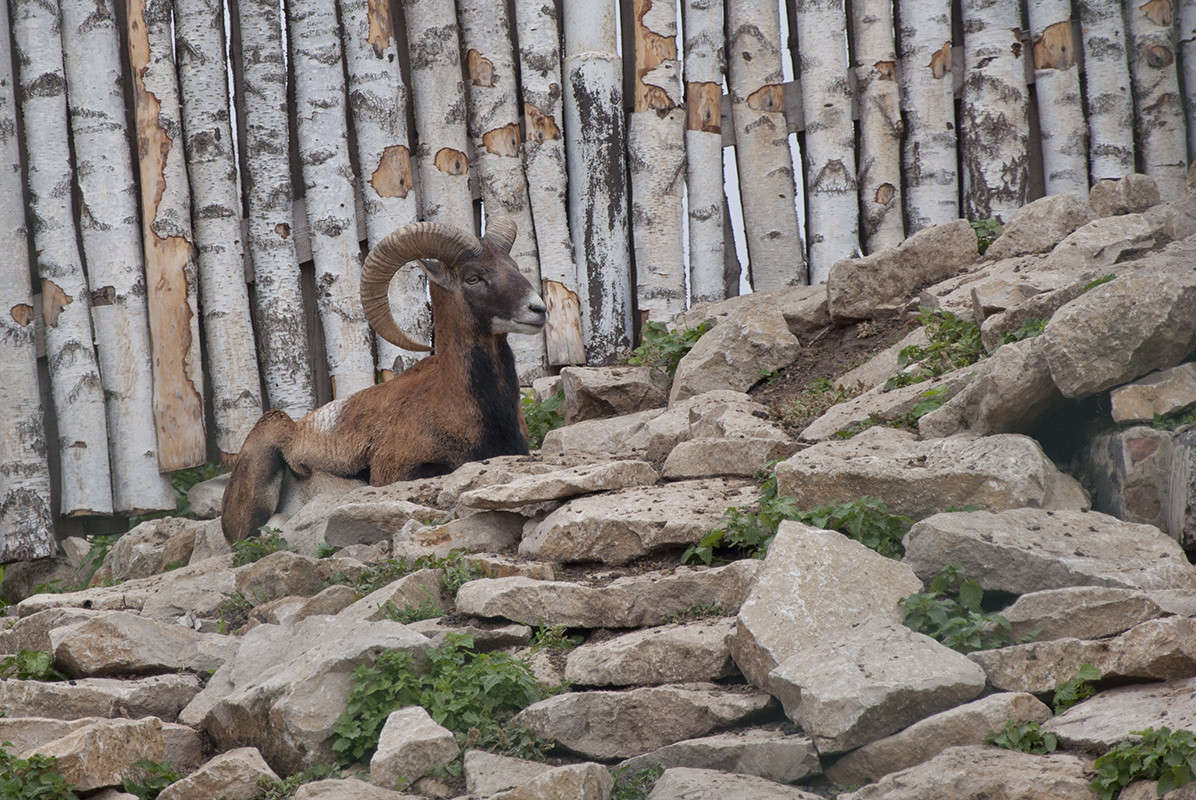 ������ ���� ����� ����� �������� �� PhotoGeek.ru #�������� ���