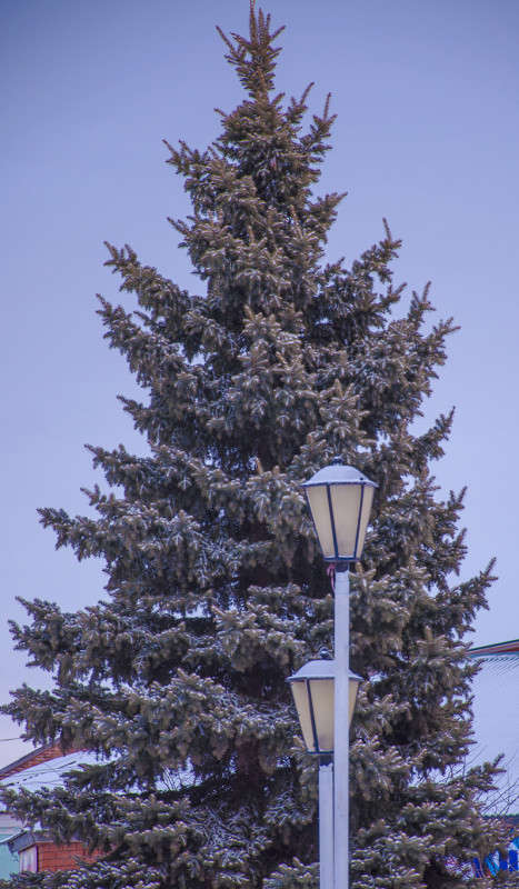 ��������) ����� ����� �������� �� PhotoGeek.ru #�����