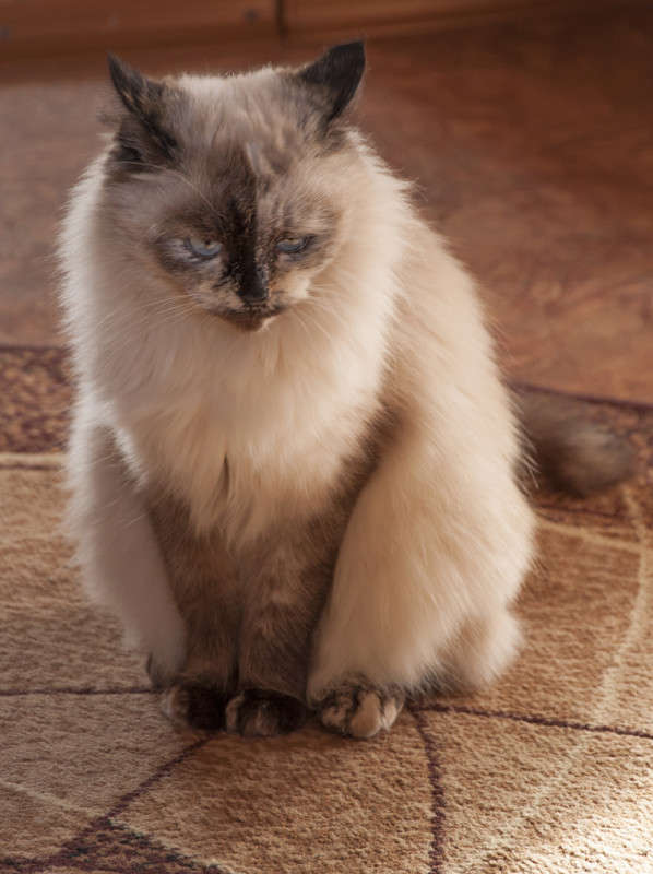 ���������)) ����� ����� �������� �� PhotoGeek.ru #�������� ���