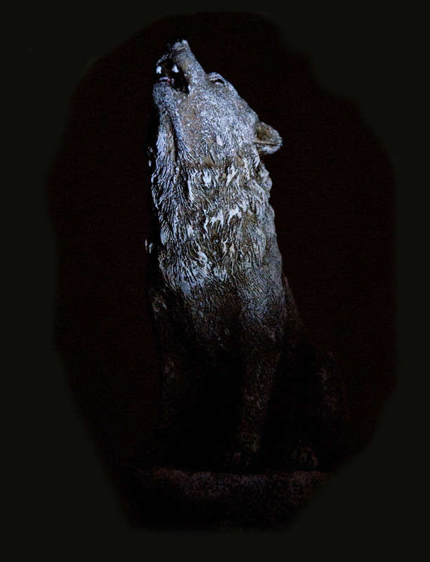 ���... ����� ����� �������� �� PhotoGeek.ru #�����