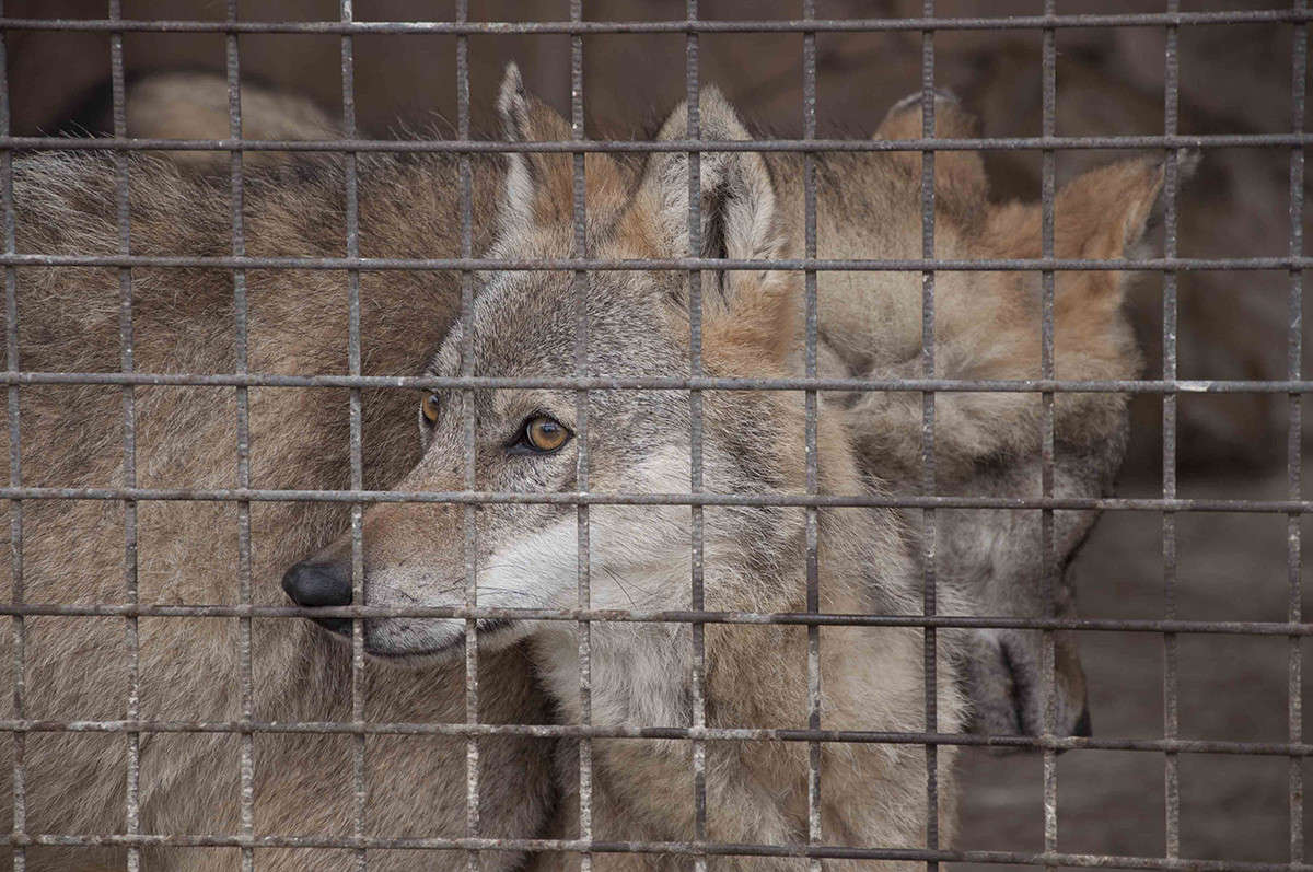 �� �����, � � �����... ����� ����� �������� �� PhotoGeek.ru #�������� ���