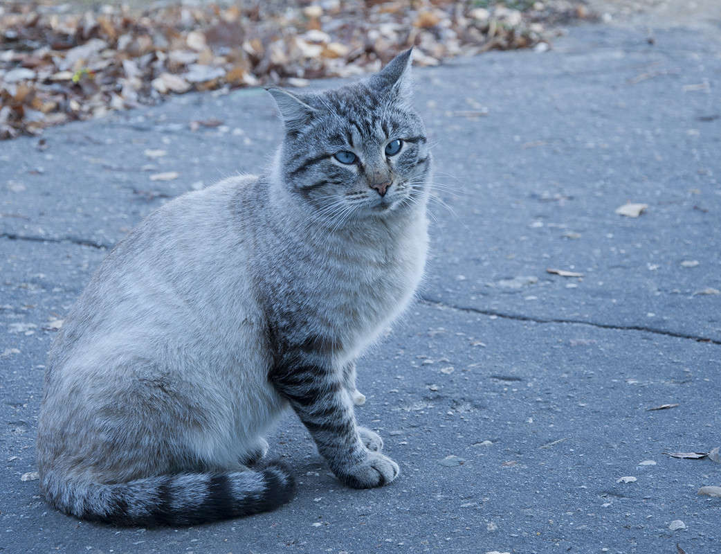 ������� ����� ����� �������� �� PhotoGeek.ru #�������� ���