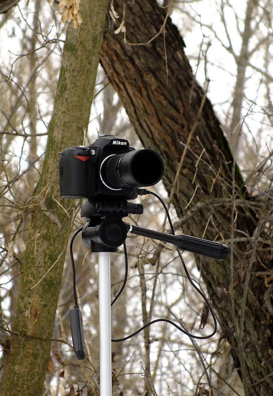 ���. Nikon) ����� ����� �������� �� PhotoGeek.ru #�������� ����������