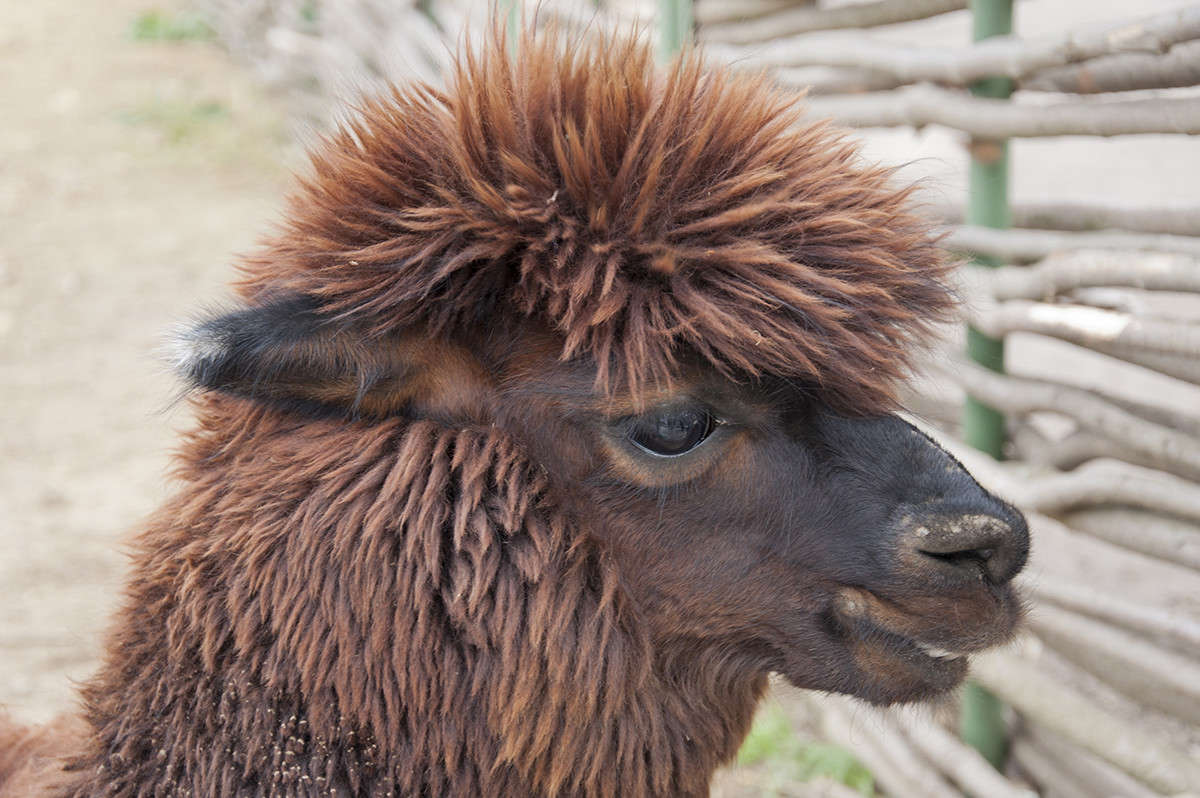 .. ����� ����� �������� �� PhotoGeek.ru #�������� ���