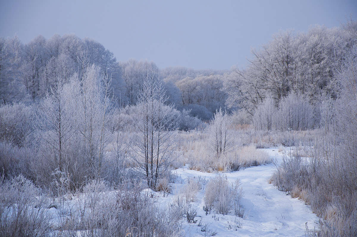 ������� ����� ����� �������� �� PhotoGeek.ru #������ ��� �������