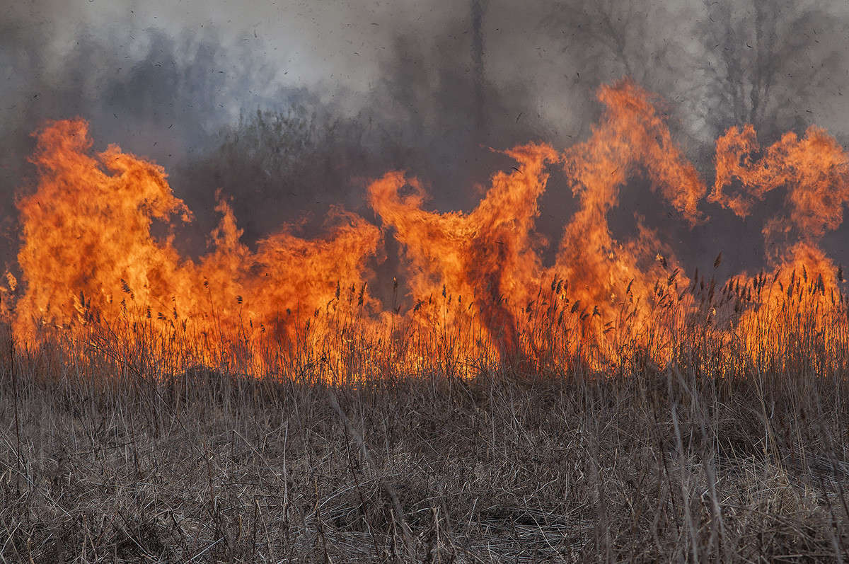 * ����� ����� �������� �� PhotoGeek.ru #������ ��� �������