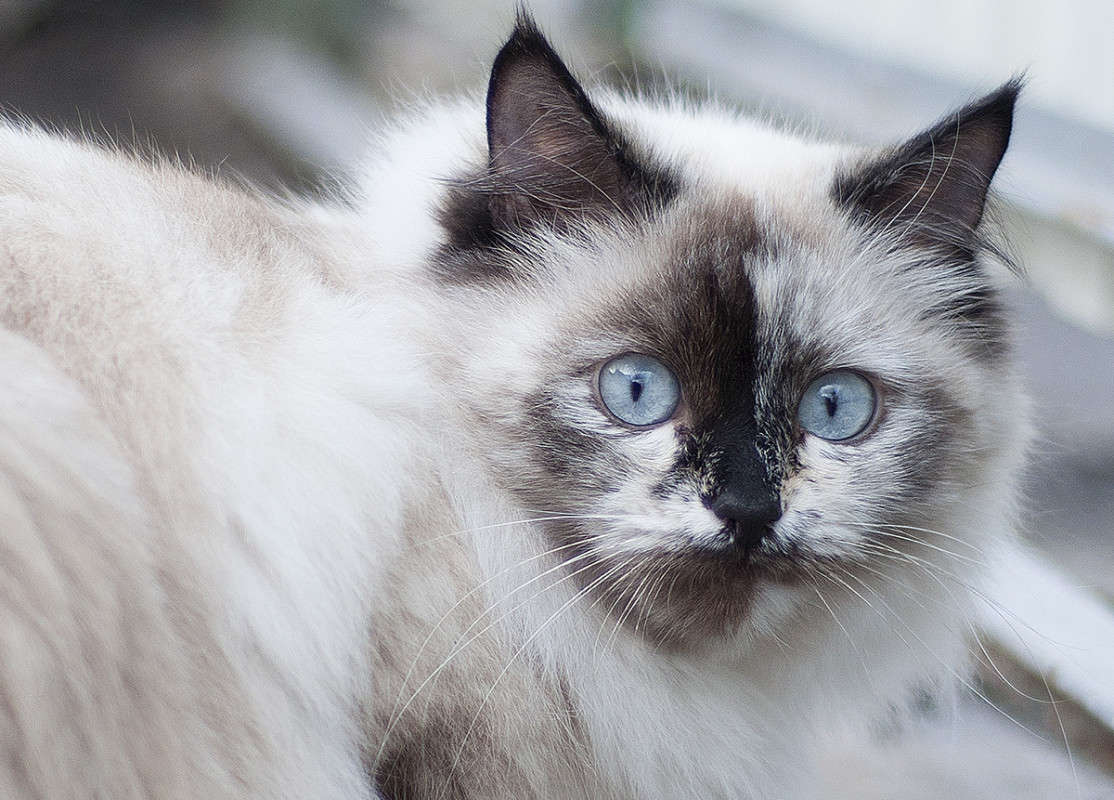 * ����� ����� �������� �� PhotoGeek.ru #�������� ���