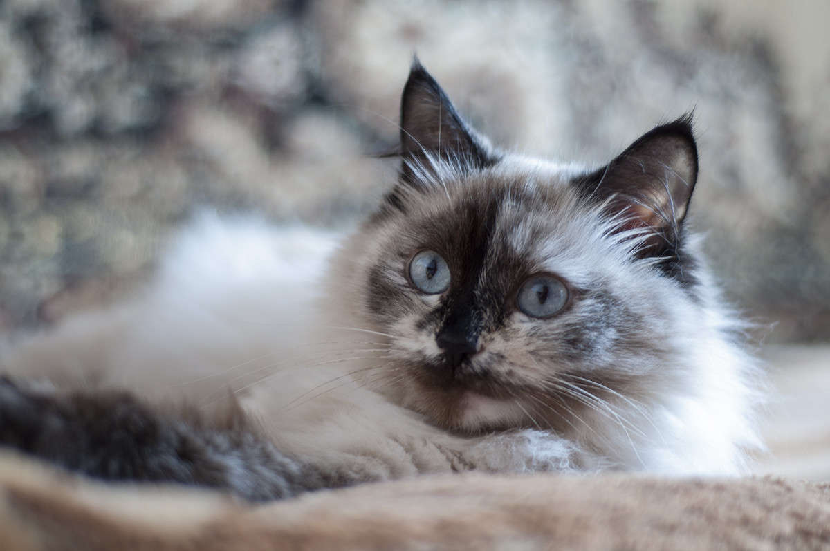 ** ����� ����� �������� �� PhotoGeek.ru #�������� ���