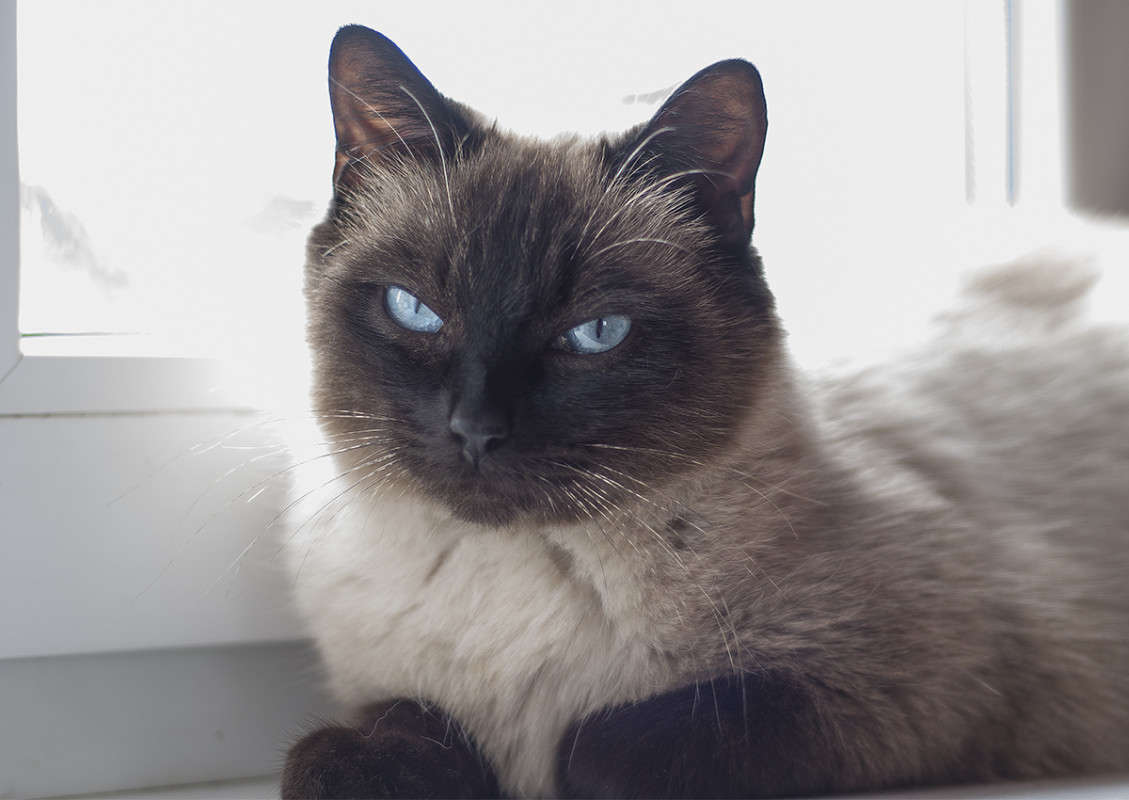 ** ����� ����� �������� �� PhotoGeek.ru #�������� ���