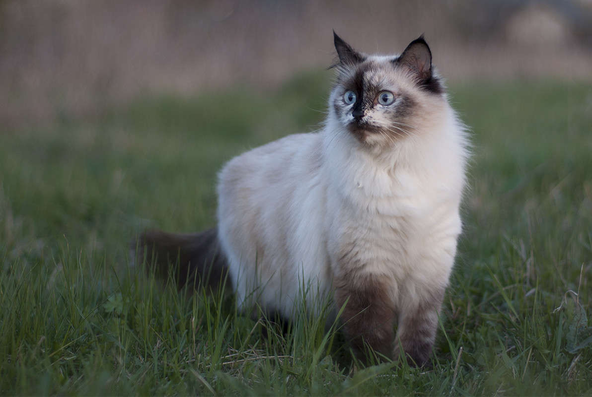 ** ����� ����� �������� �� PhotoGeek.ru #�������� ���