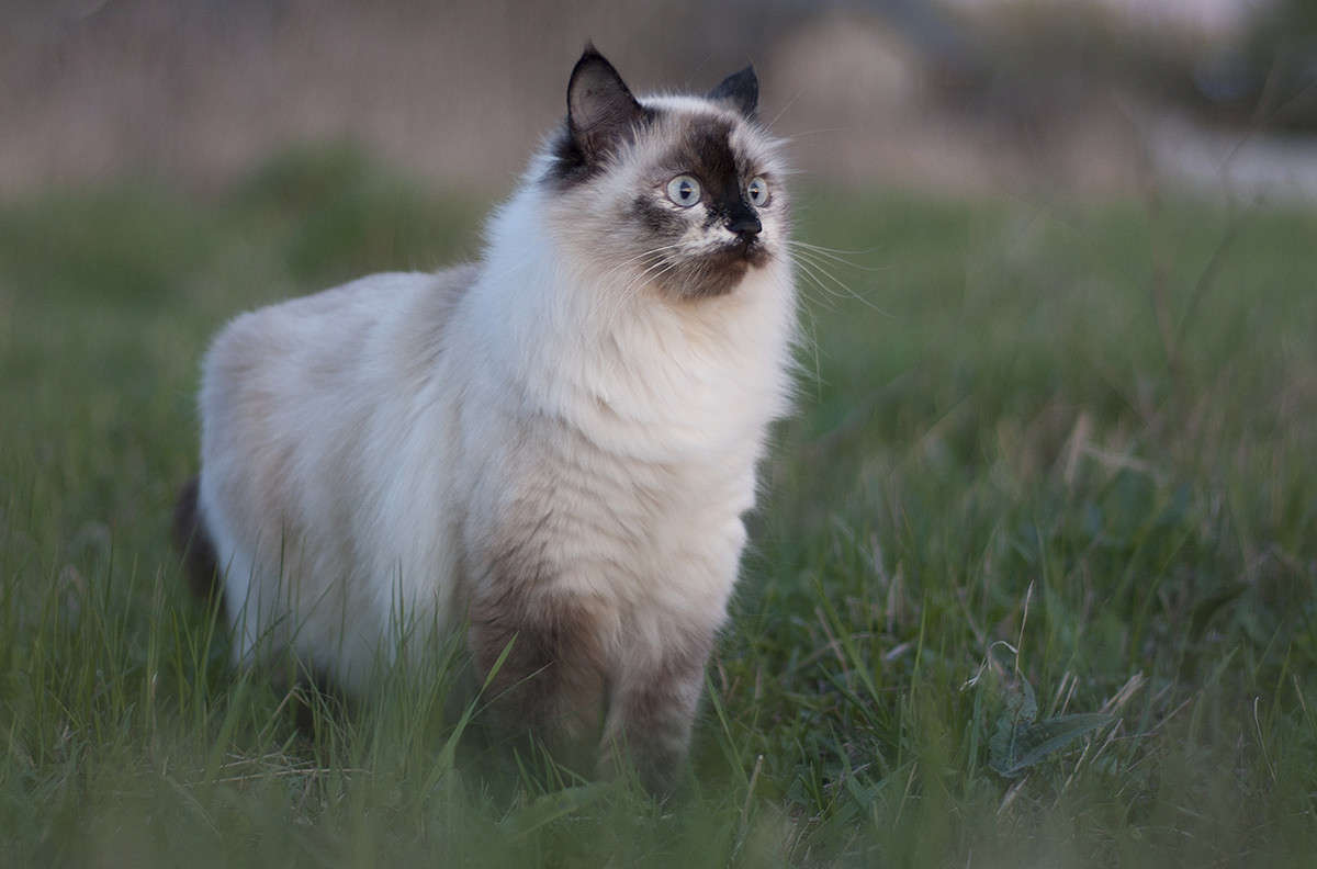 *** ����� ����� �������� �� PhotoGeek.ru #�������� ���