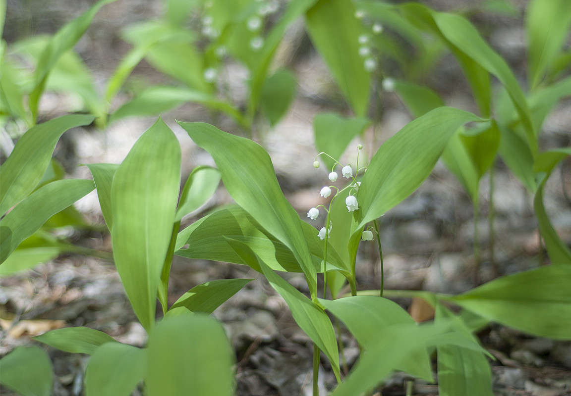 * ����� ����� �������� �� PhotoGeek.ru #������ ��� �������