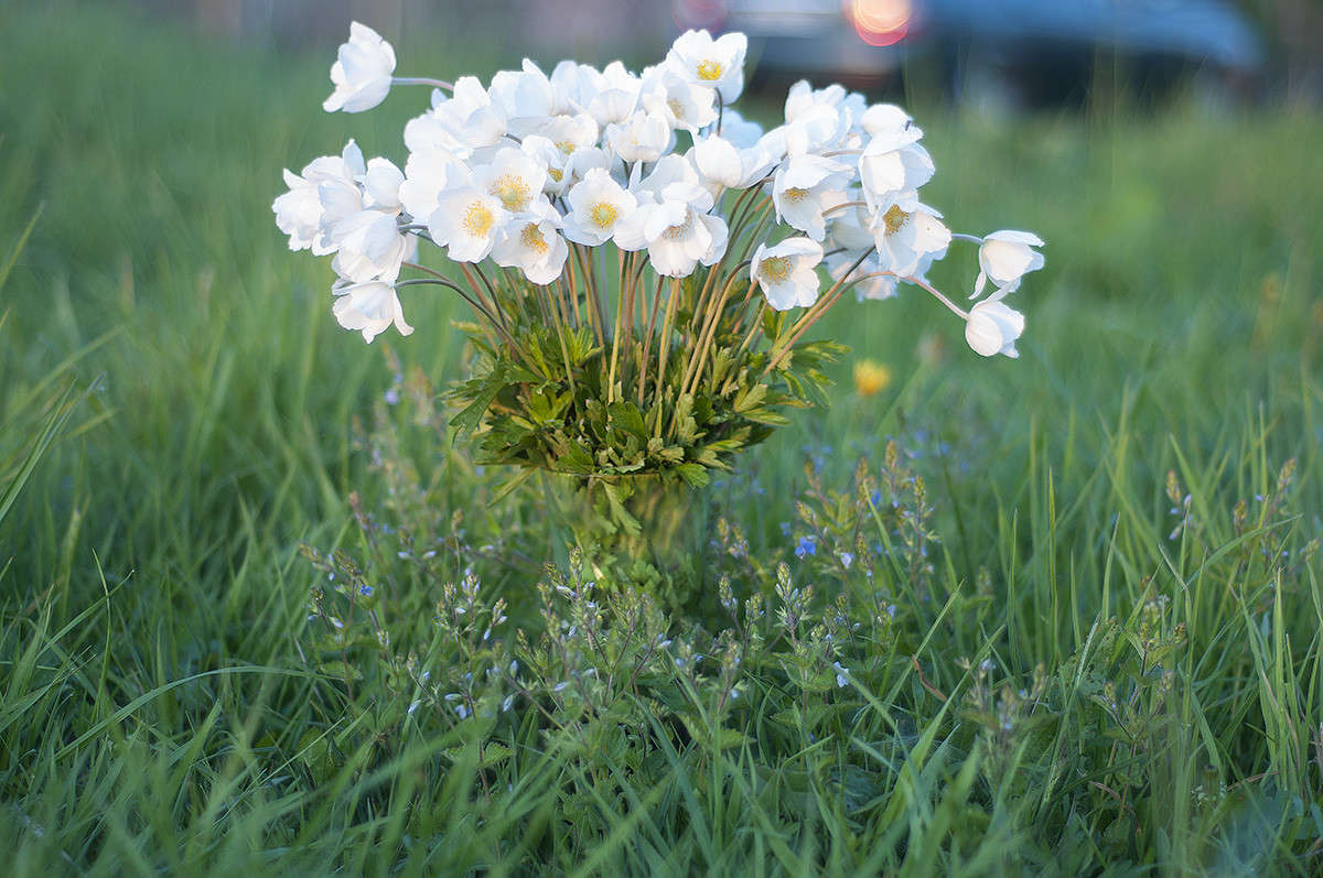 * ����� ����� �������� �� PhotoGeek.ru #�������� ����������