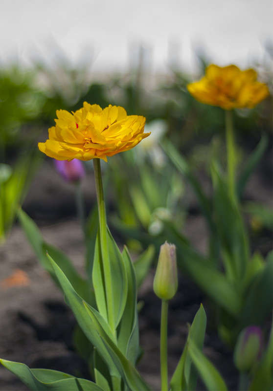 * ����� ����� �������� �� PhotoGeek.ru #�����