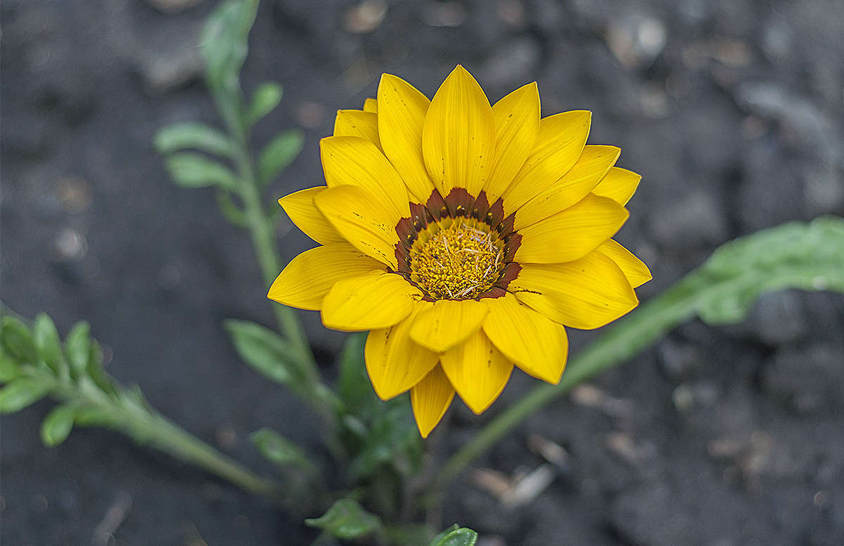 ��������) ����� ����� �������� �� PhotoGeek.ru #�����