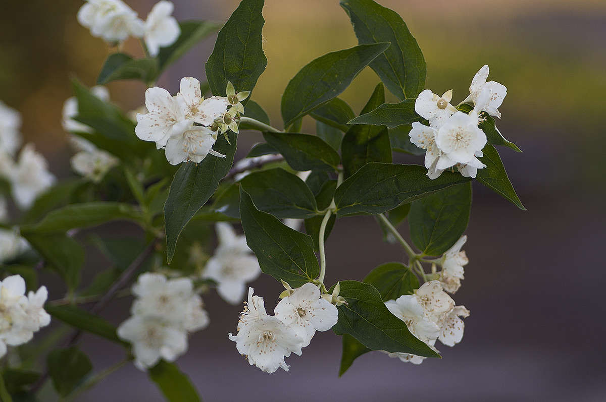 ������ ����� ����� �������� �� PhotoGeek.ru #�����