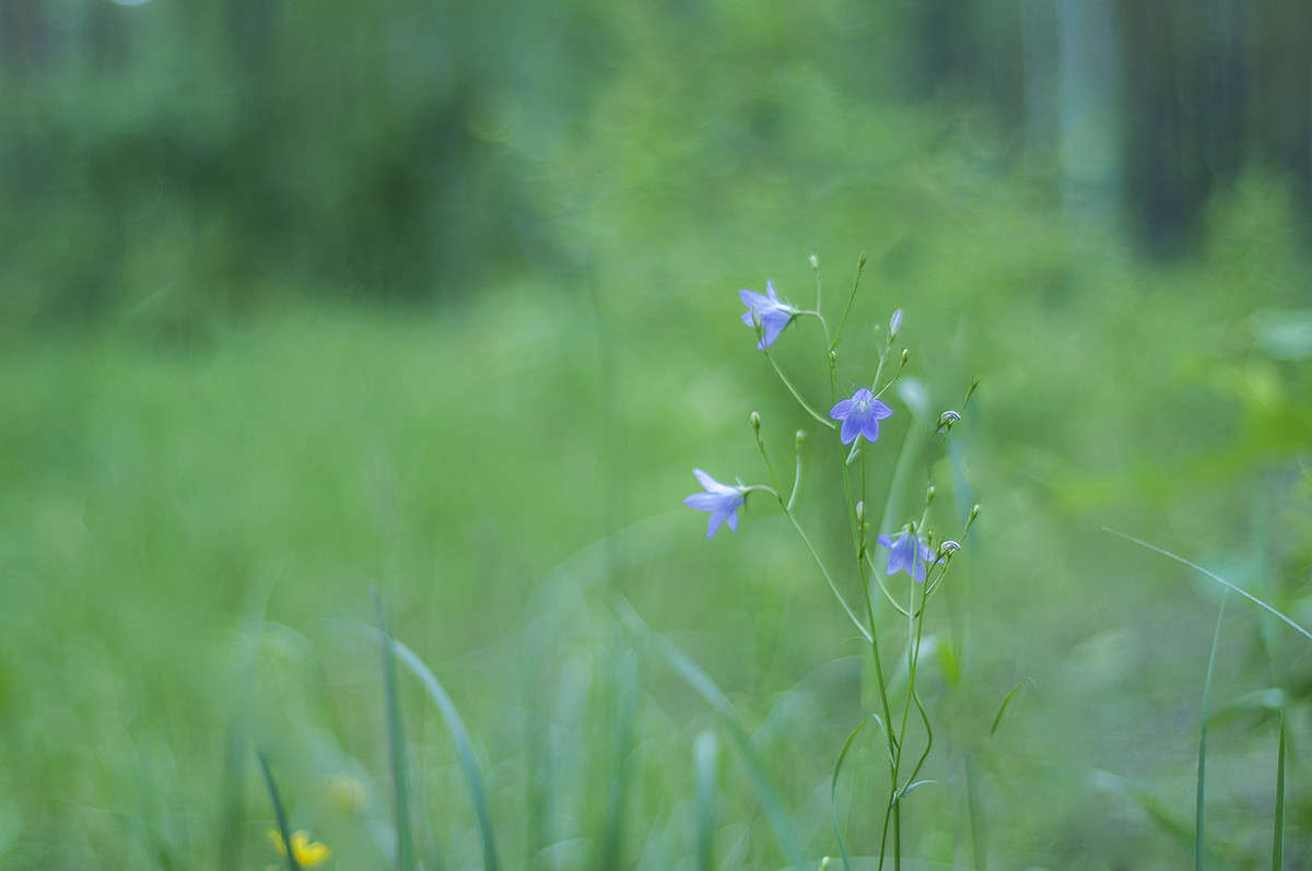 * ����� ����� �������� �� PhotoGeek.ru #������ ��� �������