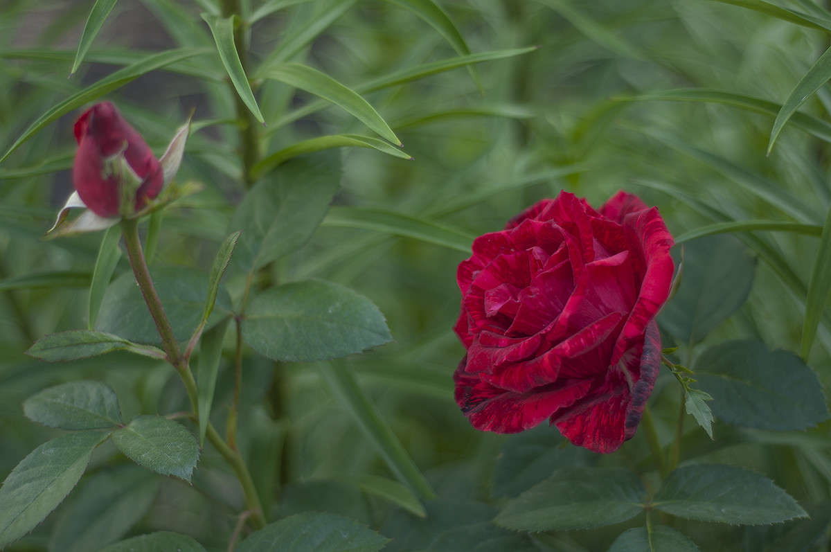 * ����� ����� �������� �� PhotoGeek.ru #���������