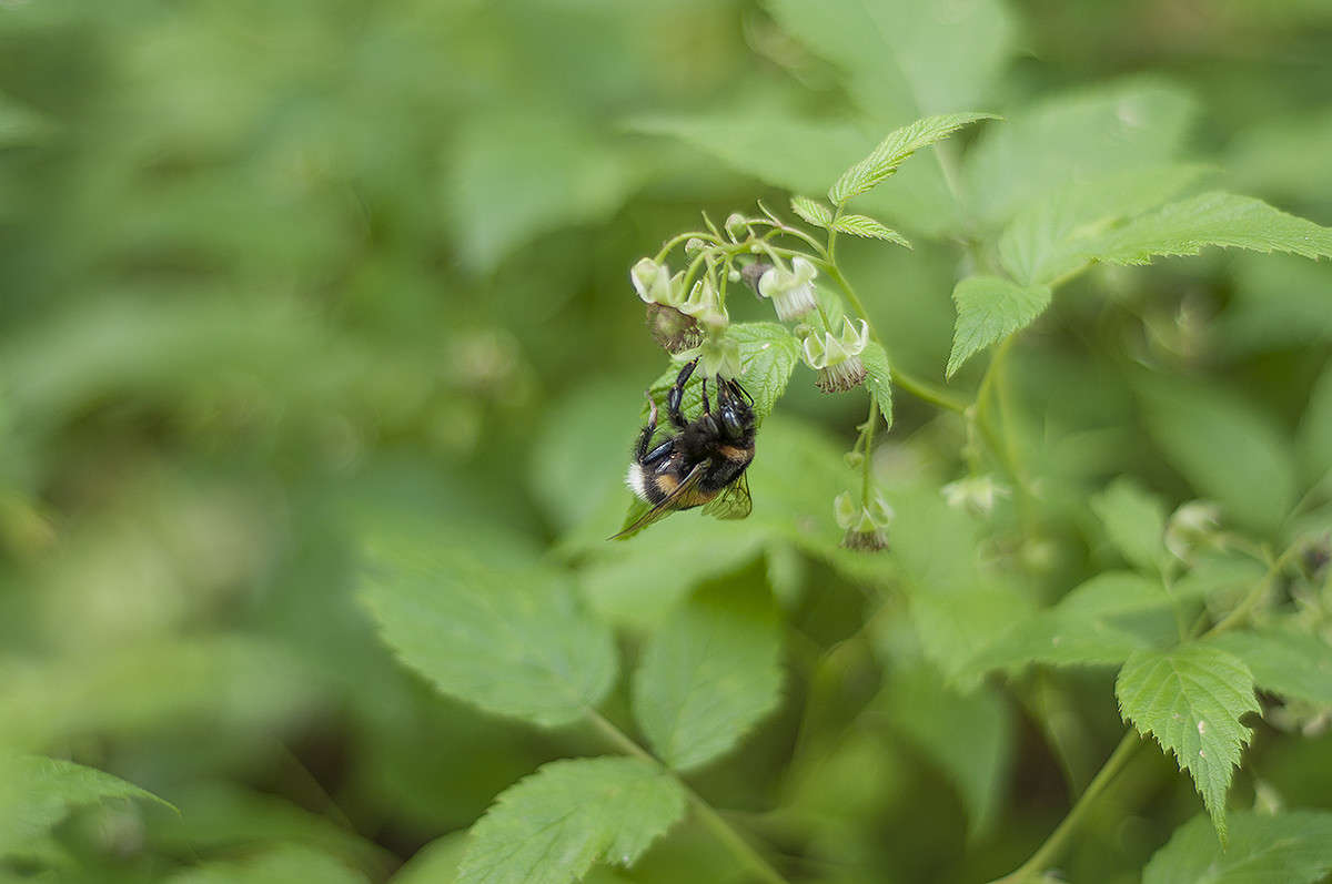 ** ����� ����� �������� �� PhotoGeek.ru #������ ��� �������