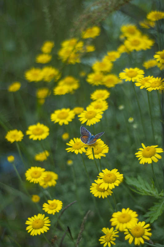 * ����� ����� �������� �� PhotoGeek.ru #������ ��� �������