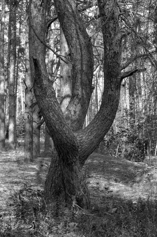 ���� ������� ����� ����� �������� �� PhotoGeek.ru #������ ��� �������