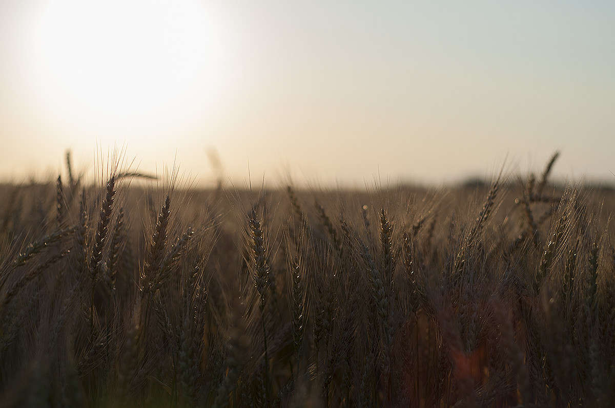 ������� ����� ����� ����� �������� �� PhotoGeek.ru #������ ��� �������