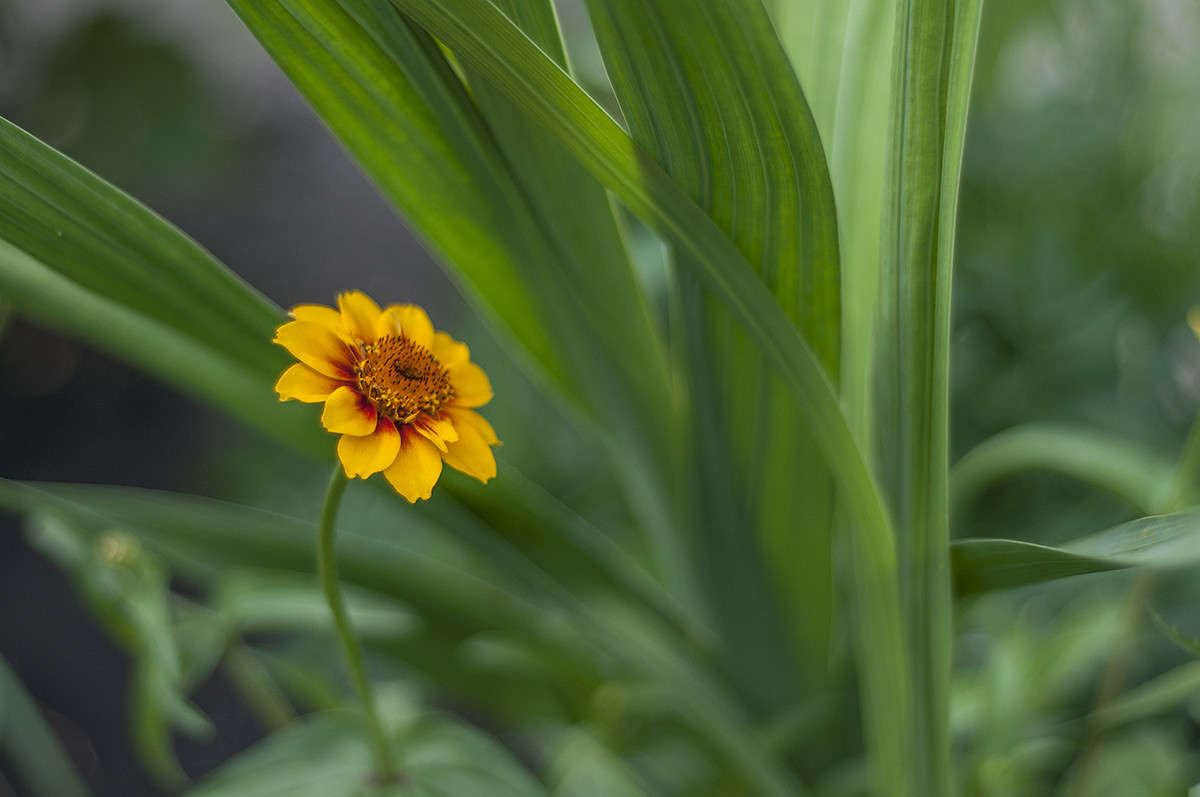 ������ ���� ����� ����� �������� �� PhotoGeek.ru #������ ��� �������