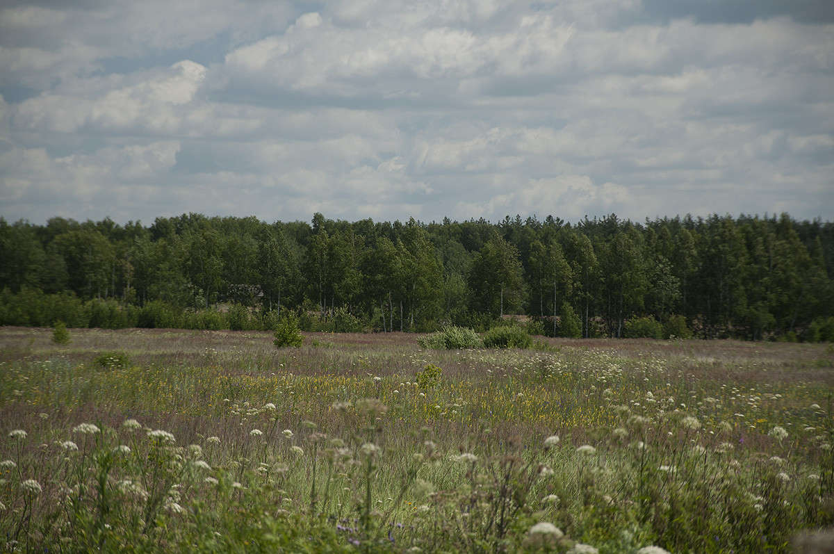 ** ����� ����� �������� �� PhotoGeek.ru #������ ��� �������