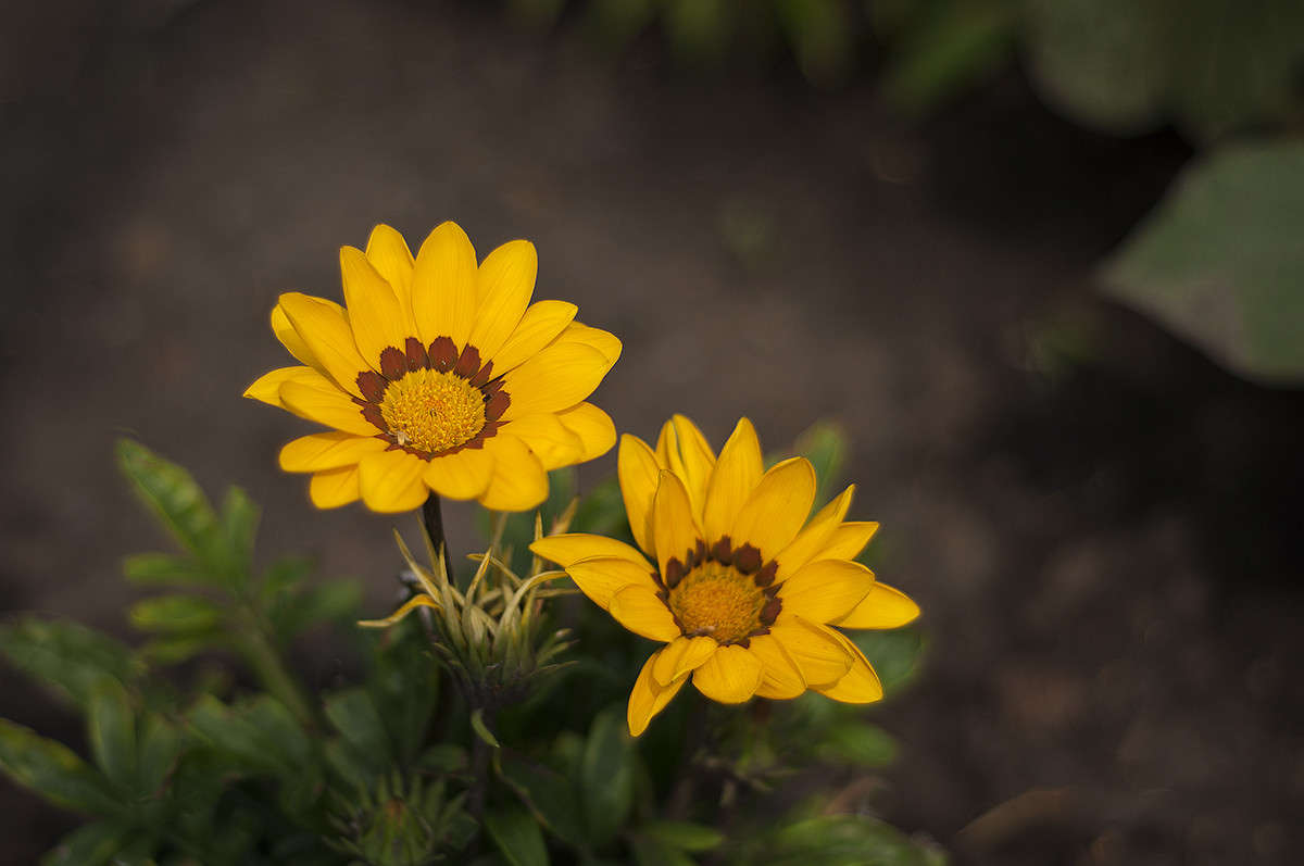 ������� ����� ����� �������� �� PhotoGeek.ru #������ ��� ������� #����� ��������������