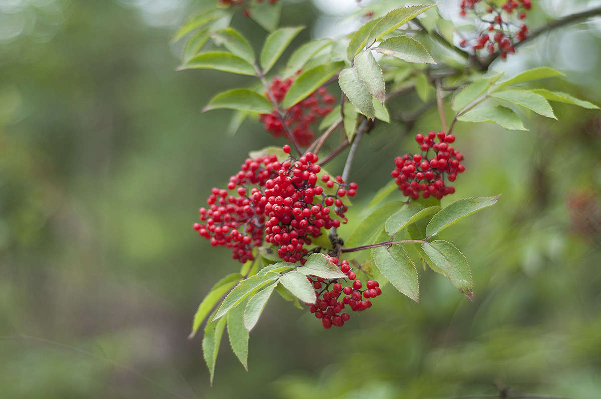 * ����� ����� �������� �� PhotoGeek.ru #������ ��� �������