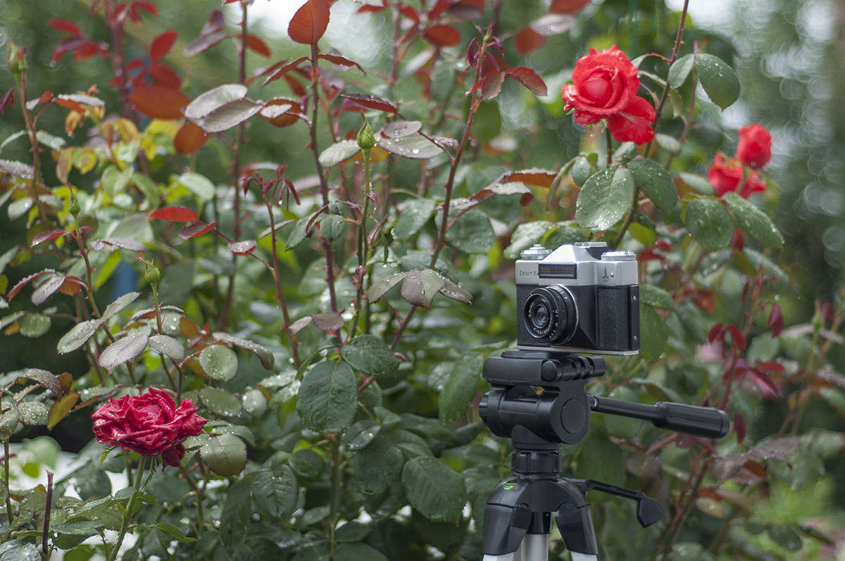 ���� ����� �� � �� ��������)... ����� ����� �������� �� PhotoGeek.ru #�������� ����������