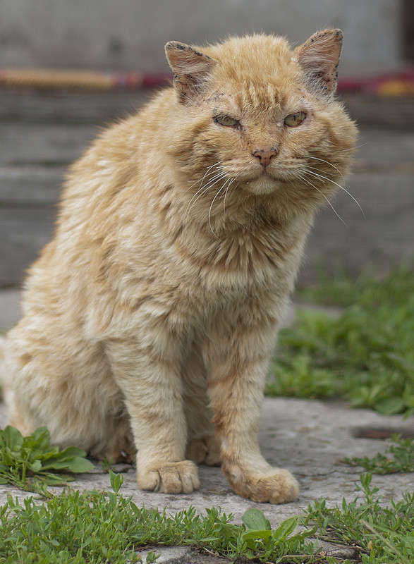 �������� � ���� �� � �������... ����� ����� �������� �� PhotoGeek.ru #�������� ���