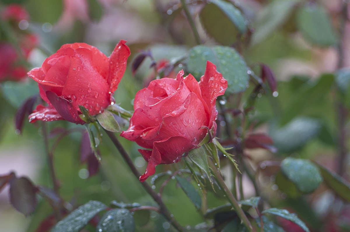 ** ����� ����� �������� �� PhotoGeek.ru #������ ��� ������� #����� ��������������