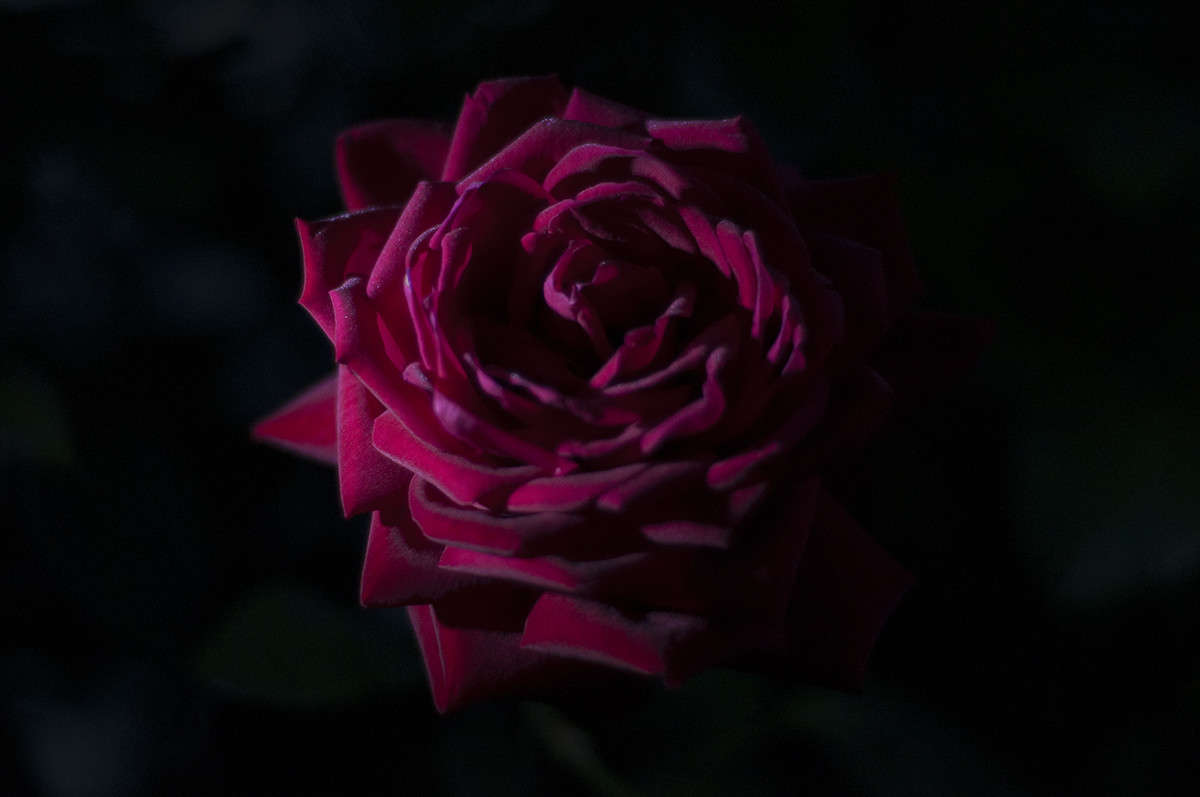 * ����� ����� �������� �� PhotoGeek.ru #�������� ����������