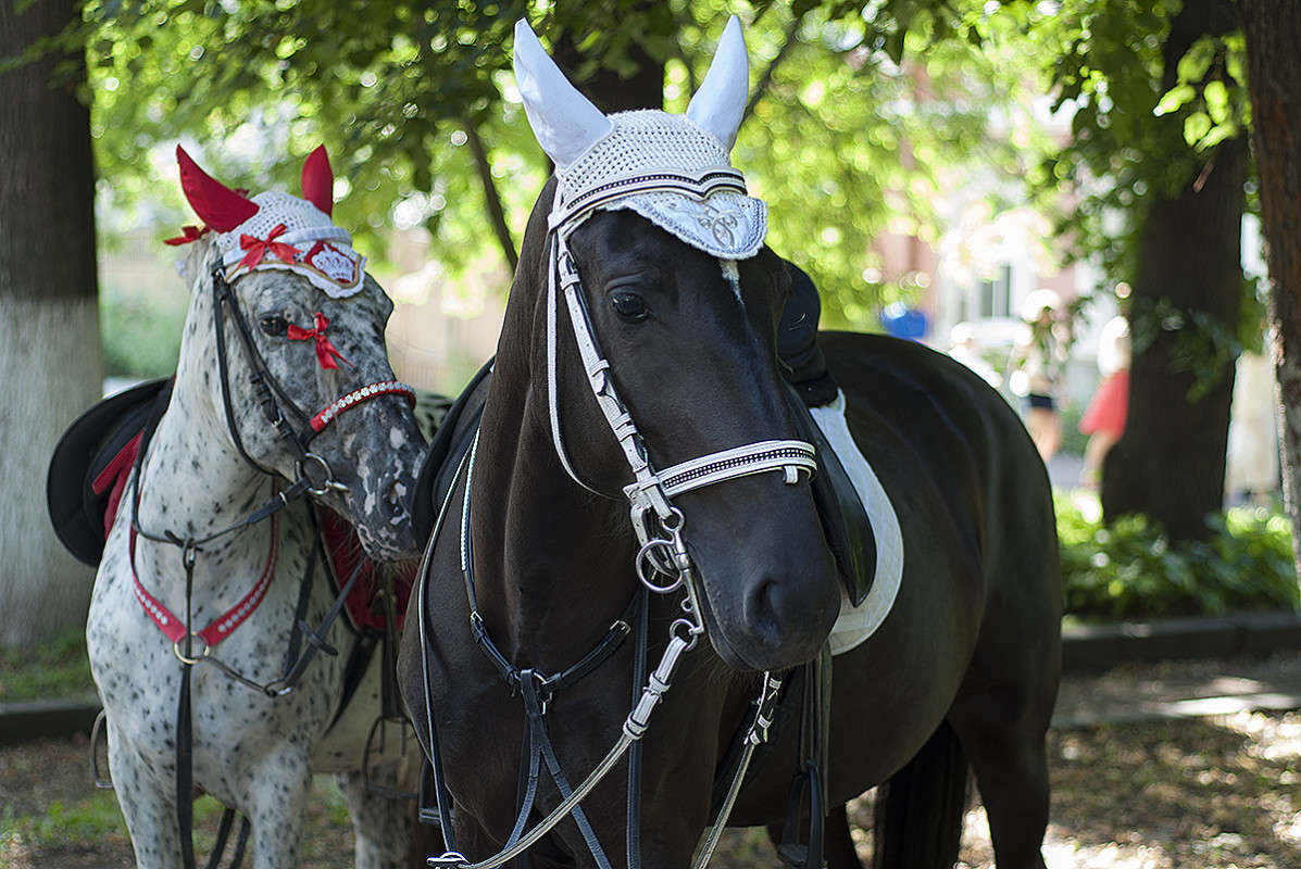 * ����� ����� �������� �� PhotoGeek.ru #�������� ���