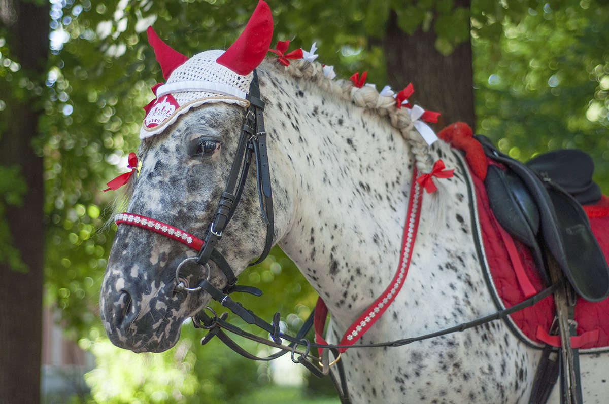 * ����� ����� �������� �� PhotoGeek.ru #�������� ���