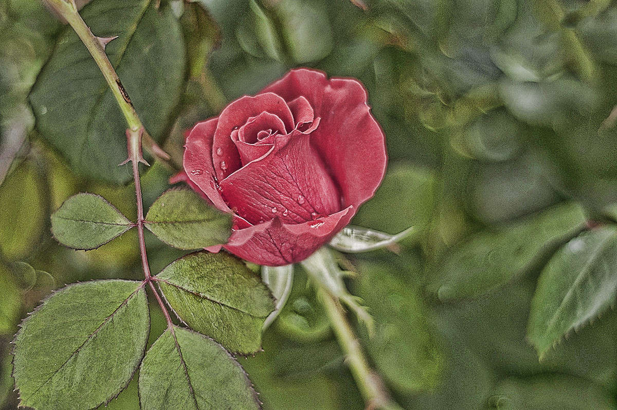 ** ����� ����� �������� �� PhotoGeek.ru #������ ��� �������