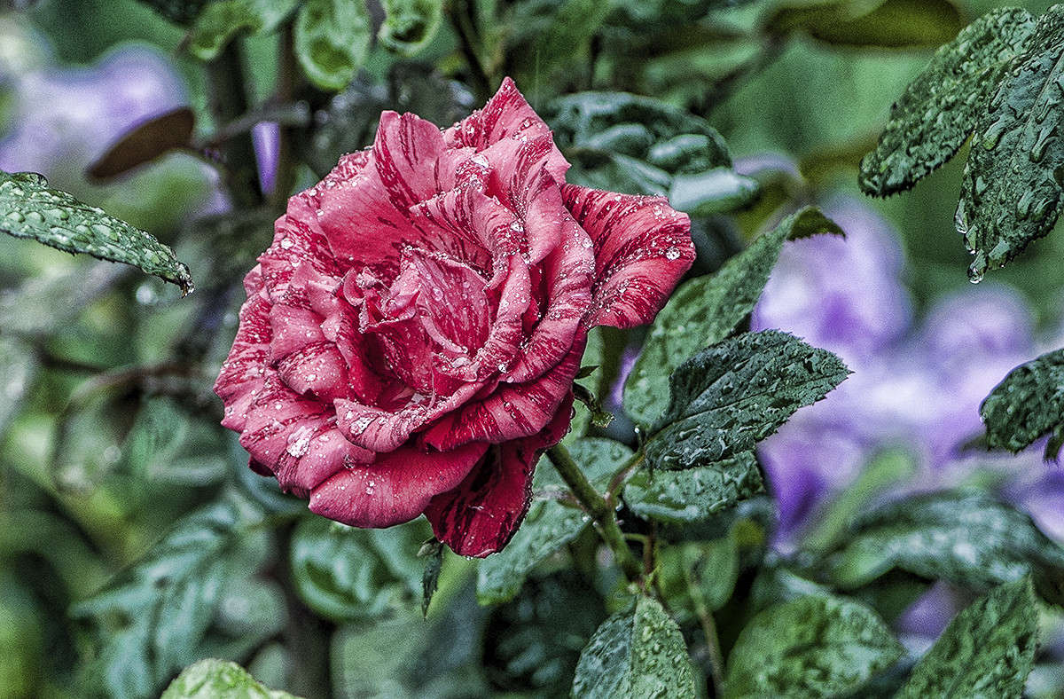 * ����� ����� �������� �� PhotoGeek.ru #������ ��� �������